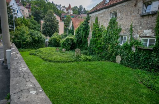 Beutaufriedhof in Esslingen: Ein stiller Ort mit lautstarker Botschaft - Vimarsana News