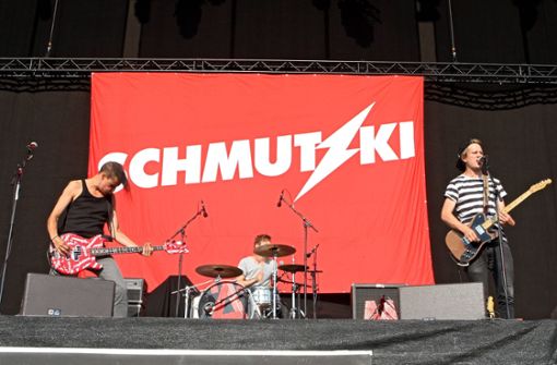 Impfkampagne im Internet: Musiker aus Stuttgart mit dabei - Vimarsana News