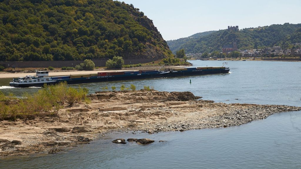  Die Hitze hat auf unterschiedliche Bereiche massive Auswirkungen – auch für Flüsse. Im Rhein leiden dadurch nicht nur die Fische, auch ein Energieversorger ist beeinträchtigt. 