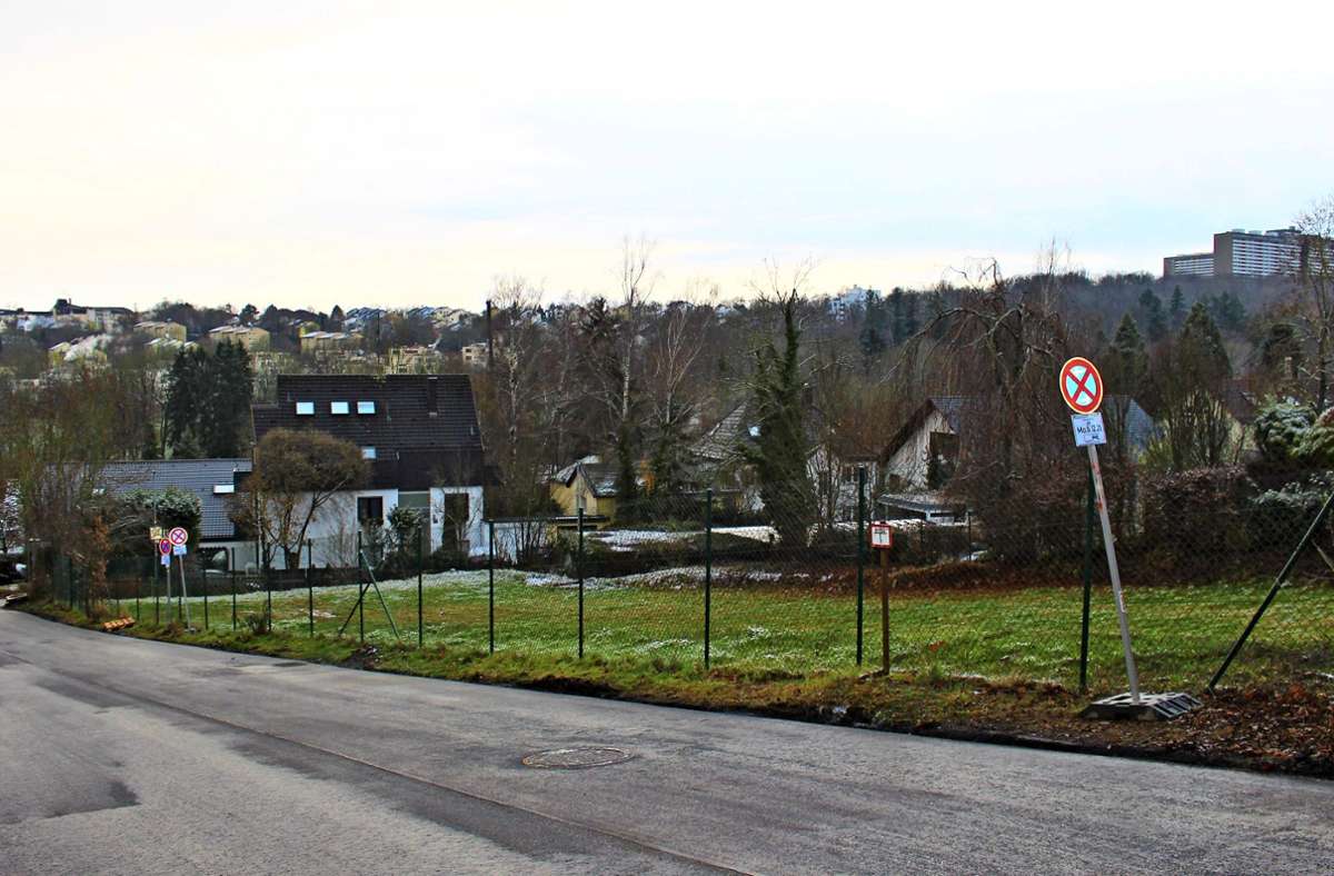Das Grundstück liegt an der Birkheckenstraße, Ecke Steinpilzweg. Foto: Caroline Holowiecki