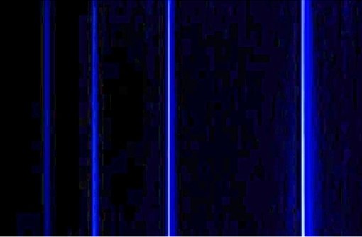 Das Bild zeigt vier der sechs sichtbaren Linien im Spektrum des Wasserstoffatoms. Jede steht für einen bestimmten Quantensprung, also dem Wechsel eines Elektrons auf eine andere Umlaubahn um den Atomkern. Mit dem Atommodell von Niels Bohr ließen sich ihre Wellenlängen berechnen. Foto: Jan Homann