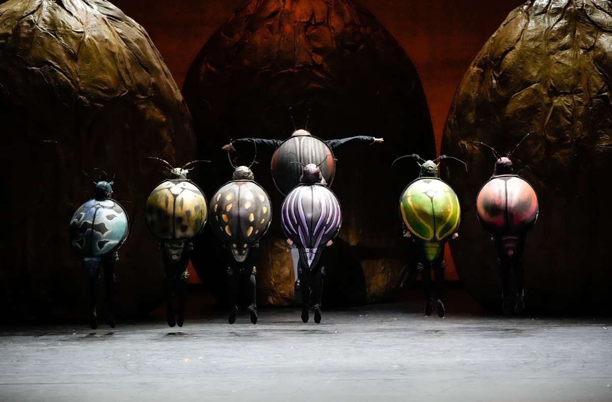 Sechs Kinder tanzen als Käfer: Szene aus Edward Clugs „Nussknacker“.