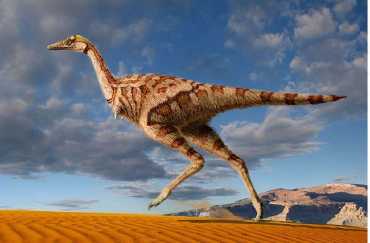 Der Dinosaurier „Linhenykus monodactylus“, den chinesische Forscher 2011 in der Inneren Mongolei gefunden hatten, ist der erste nachgewiesene Echsenbecken-Dinosaurier. Er weist nur eine große Klaue an der Vorderpfote auf, während andere meist drei Finger haben.