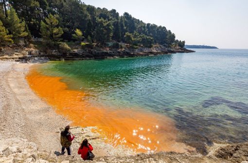 Algen färben das Meerwasser an diesem Strand in  Kroatien. Foto: dpa/Srecko Niketic