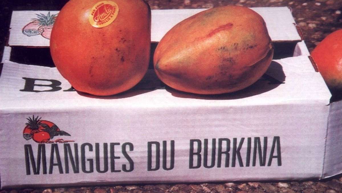 Verkauf ab 6. Mai: Bald kommen die Mangos  in den Kreis Böblingen
