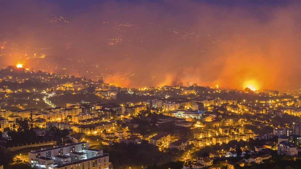 Feuer auf Madeira wütet weiter: 150 Häuser in Funchal niedergebrannt