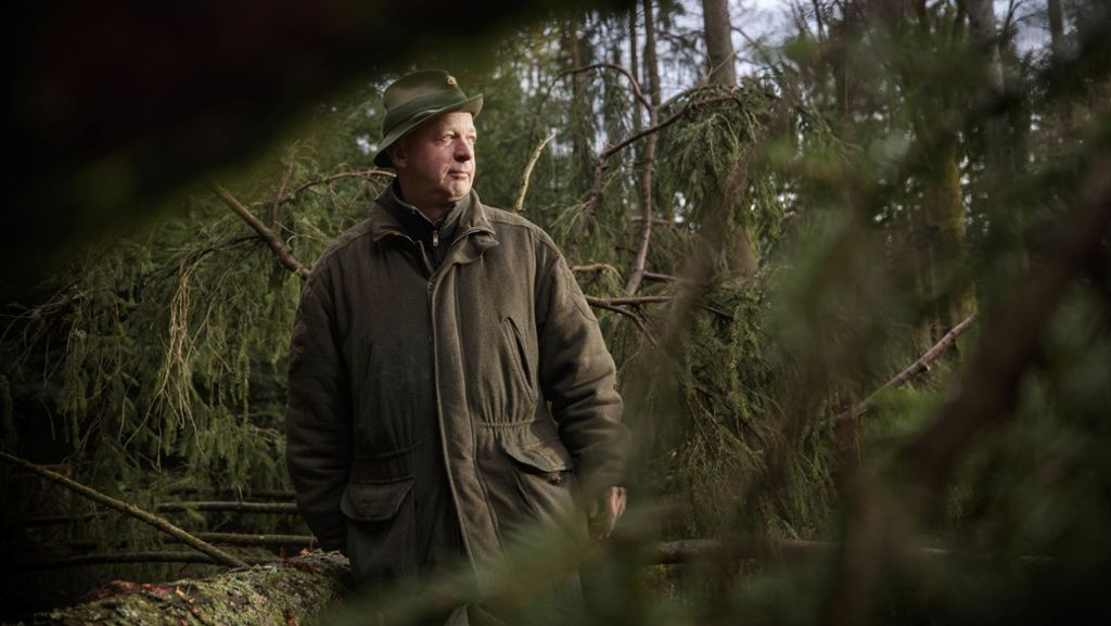 Neuer Chef des Forstbezirks Schwäbisch-Fränkischer Wald: Martin Röhrs ist  ganz wild auf Wald