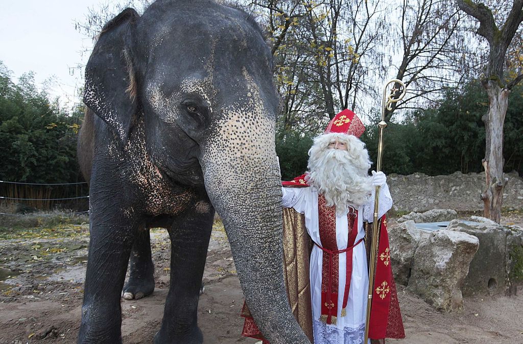 St. Nikolaus, hier mit Elefantenkuh Zella, schaut in der Wilhelma bei den Tieren vorbei.