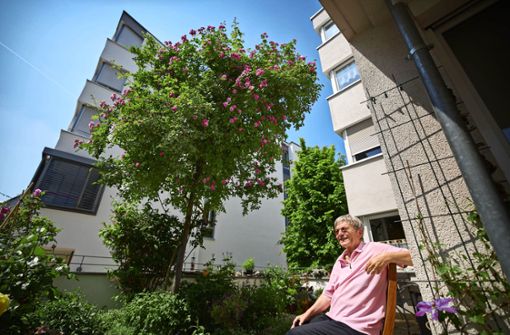 Christa Kellner hat  auf ihrem Balkon  bewusst Pflanzen ausgewählt, die  auch Bienen und Co. erfreuen.Fotos: Gottfried Stoppel Foto:  