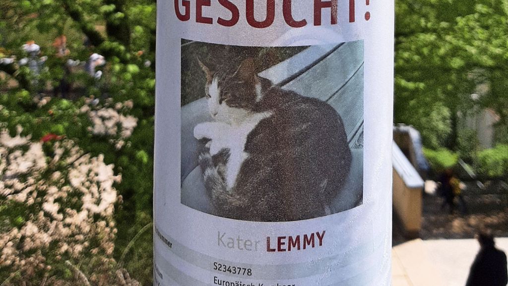 Stuttgart-Untertürkheim: Dreister Betrug mit vermissten Tieren