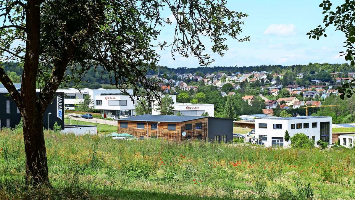 Gewerbegebiet in Flacht: Grüne fordern Stopp im Neuenbühl