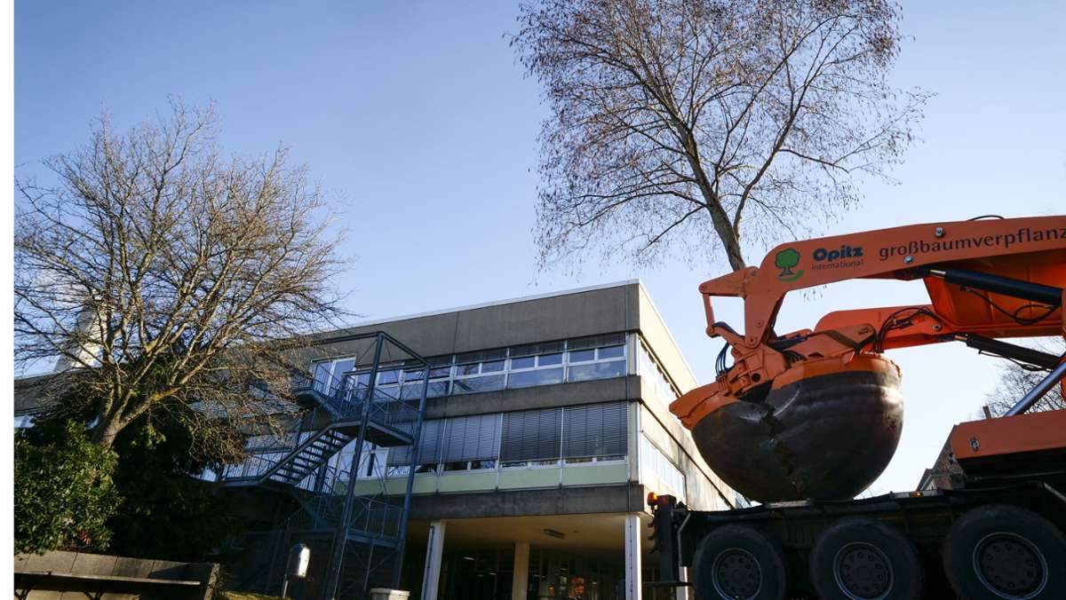 Großprojekt in Ludwigsburg: 85 Bäume fallen am Bildungszentrum West