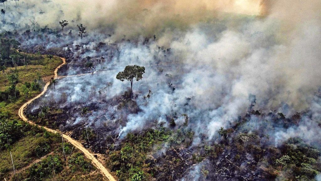 Waldbrände am Amazonas: Hilft ein Boykott,  den Regenwald zu schützen?