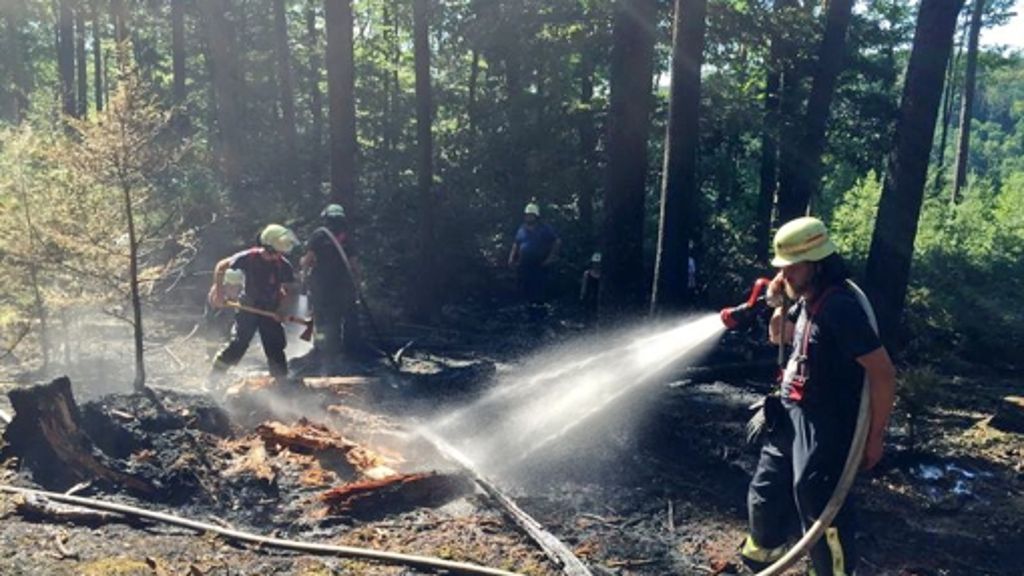 Polizei ermittelt: Waren Brandstifter im Wald unterwegs?