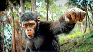 Neu im Kino: Wie gut ist der neue „Planet der Affen“-Film?
