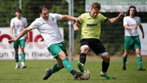 Fußball Landesliga: Ex-Spieler Michele Ancona traut TSV Heimerdingen den Aufstieg zu