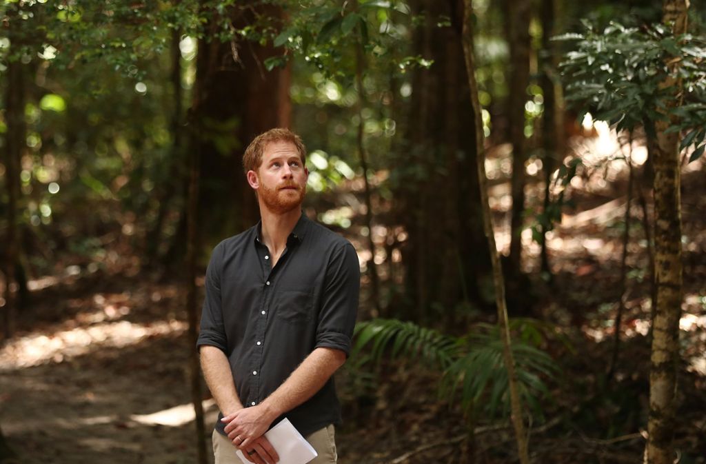 Der Regenwald von Fraser Island gehört nun zum Waldschutzprogramm der Queen in den Commonwealth-Staaten.