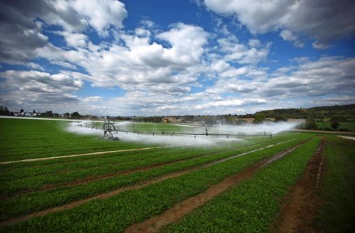 Bewässerung wird ein immer wichtigeres Thema werden, sagen Experten. Foto: Archiv  Gottfried Stoppel