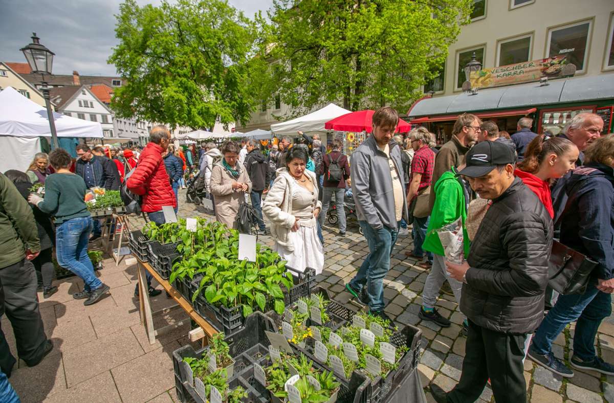 In der Ritterstraße bieten Gärtner Blumen, Deko-Artikel und Gemüse-Setzlinge an.