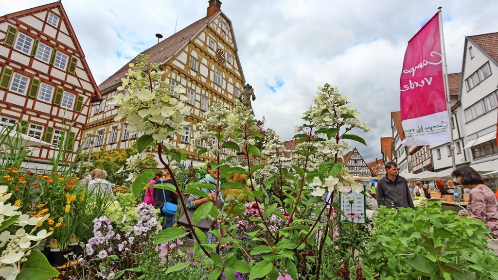 Altstadt-Garten Leonberg: Wenn Hühner den Hochzeitsmarsch blasen