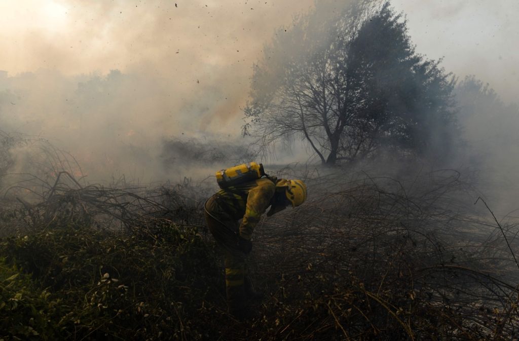 Besonders zerstörerisch wüteten die Feuer an zwei Fronten im Wald von Monchique, einer Kleinstadt im Westen der Algarve-Region.