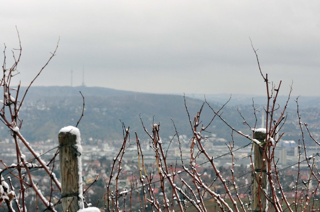 Auf den Höhen in Stuttgart hat der Schnee seine Spuren hinterlassen.
