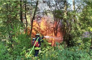 Gartenhäuser brennen nieder – Kripo sucht Zeugen