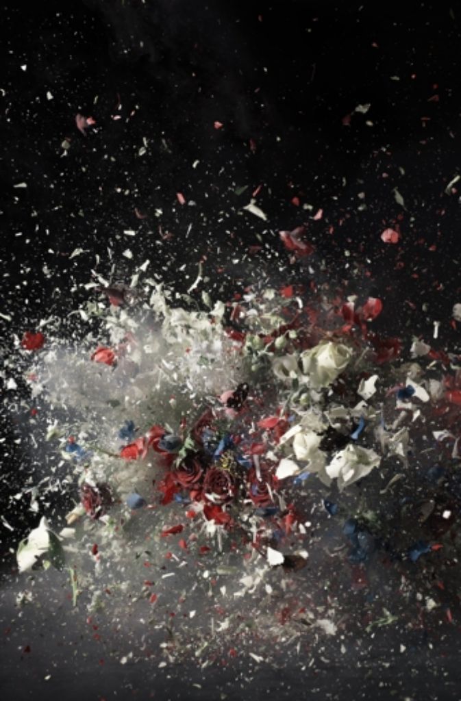 Das wandfüllende Titelfoto der Ausstellung „Revelations“ im Science Museum London: „Blow Up / Untitled 1“ aus dem Jahr 2007 von Ori Gersht. Der israelische Künstler greift auf die Hochgeschwindigkeitsfotografie zurück und hält fest, wie ein Blumenstrauß in einer Vase explodiert. Die Rosen hat er zuvor in flüssigem Stickstoff tiefgefroren.
