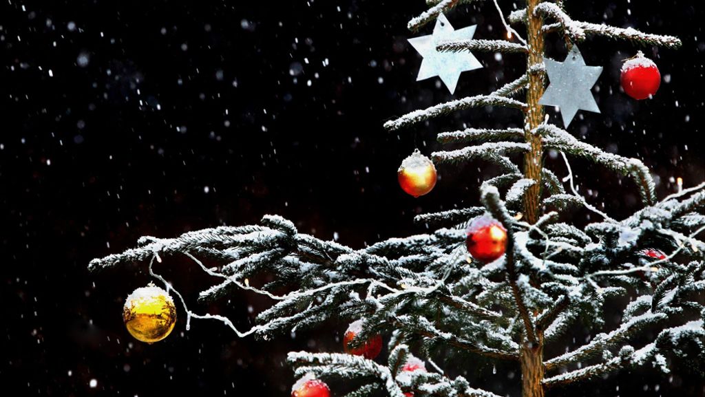 Weihnachtsbräuche: Der Tannenbaum: O Tannenbaum, o Tannenbaum . . .