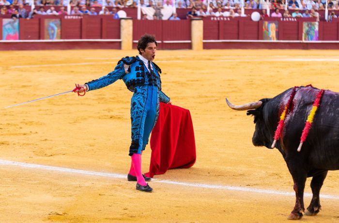 Stadt auf Mallorca darf Stierkampf nicht verbieten