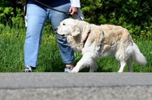 Schärfere Regeln für Hundehalter geplant