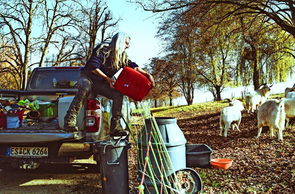 Corinna Kistner bringt mit ihrem Pick-up frisches Wasser zur Weide . . .
