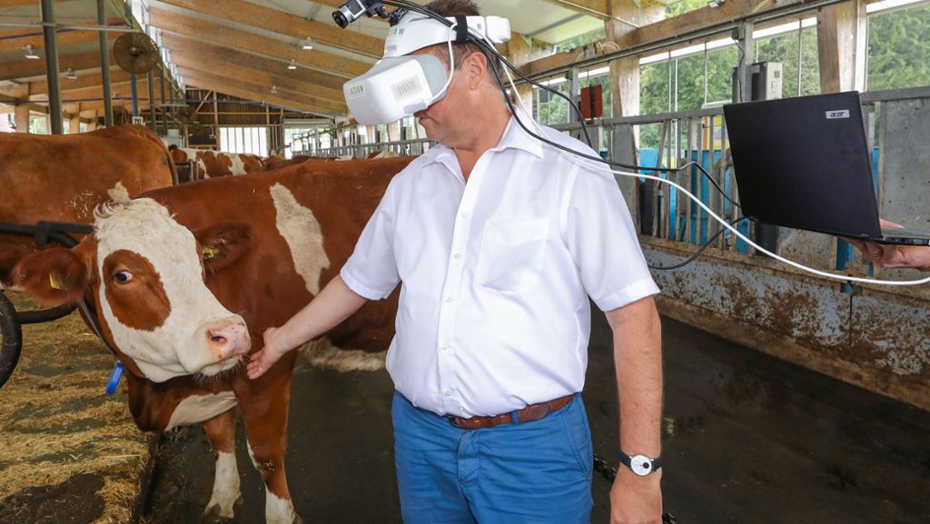 Peter Hauk: Agrarminister betrachtet die Welt mit den Augen einer Kuh