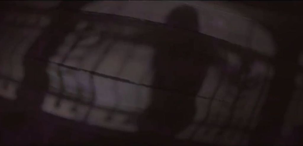 Roman Wreden hat sein neues Video in den Beelitzer Heilstätten gedreht. Bei Horrorfilm-Fans klingelts da.
