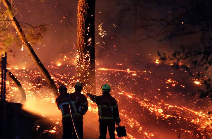 Waldbrand zerstört Bäume und etliche Häuser