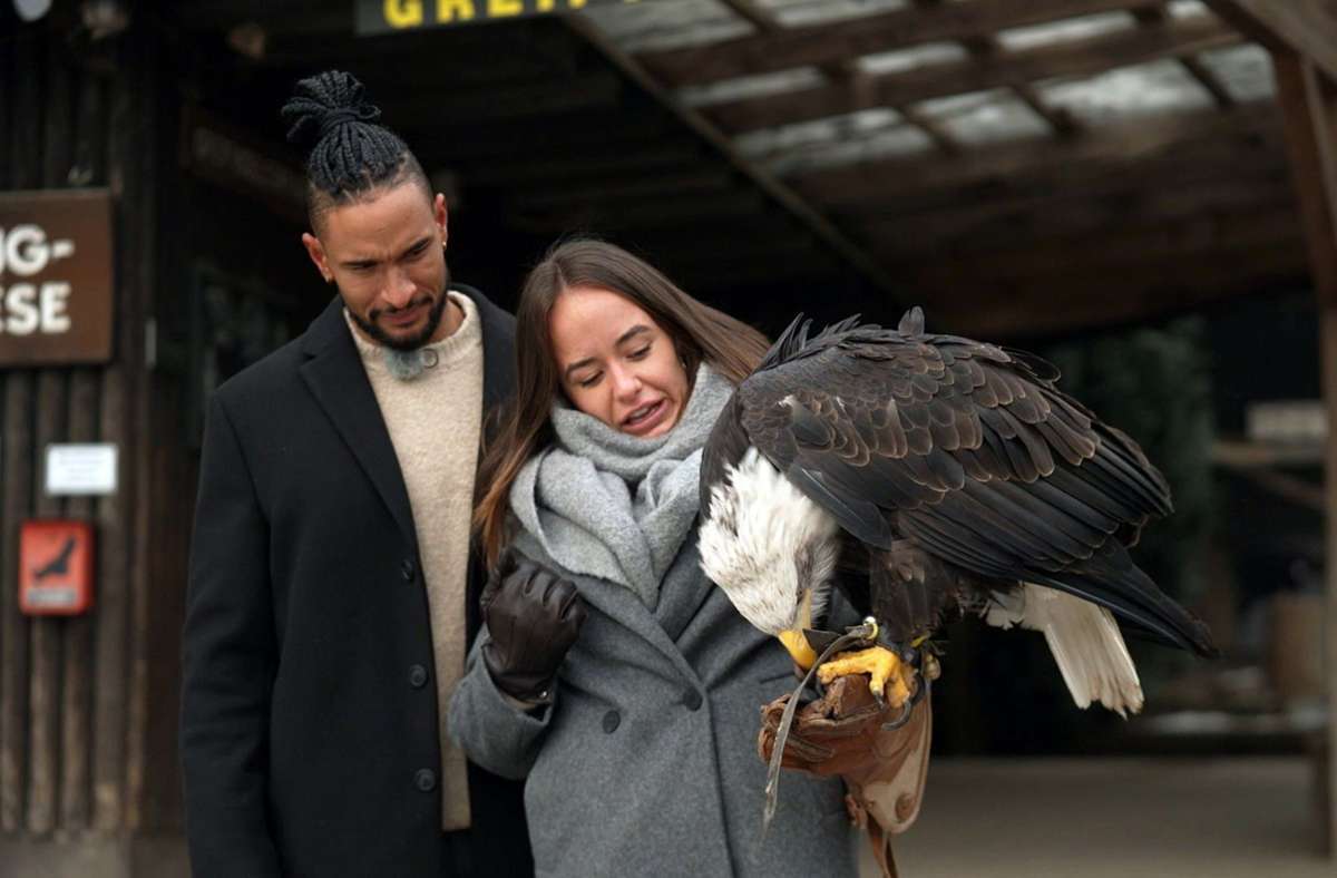Angelina und David besuchen einen Greifvogelpark.