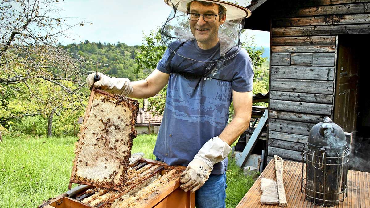 Imker aus Stuttgart: Ein katastrophales Jahr für die Bienen