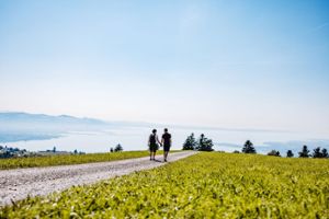 Scheidegg: Wandern auf neuen Wegen
