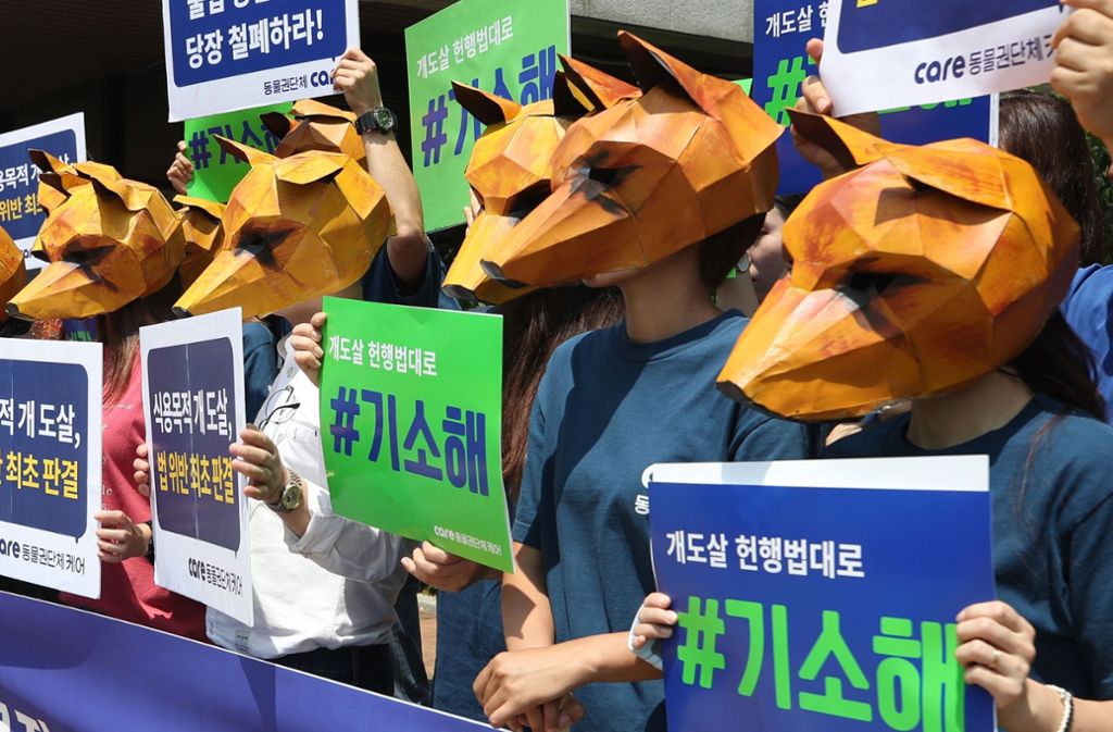Vor dem Gericht in Seoul demonstrierten Tierschützer für das nun beschlossene Gesetz.