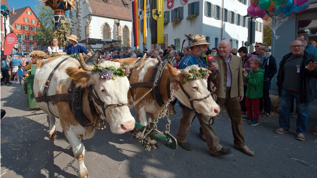 Cannstatter Volkfest: Tausende Besucher bei traditionellem Umzug