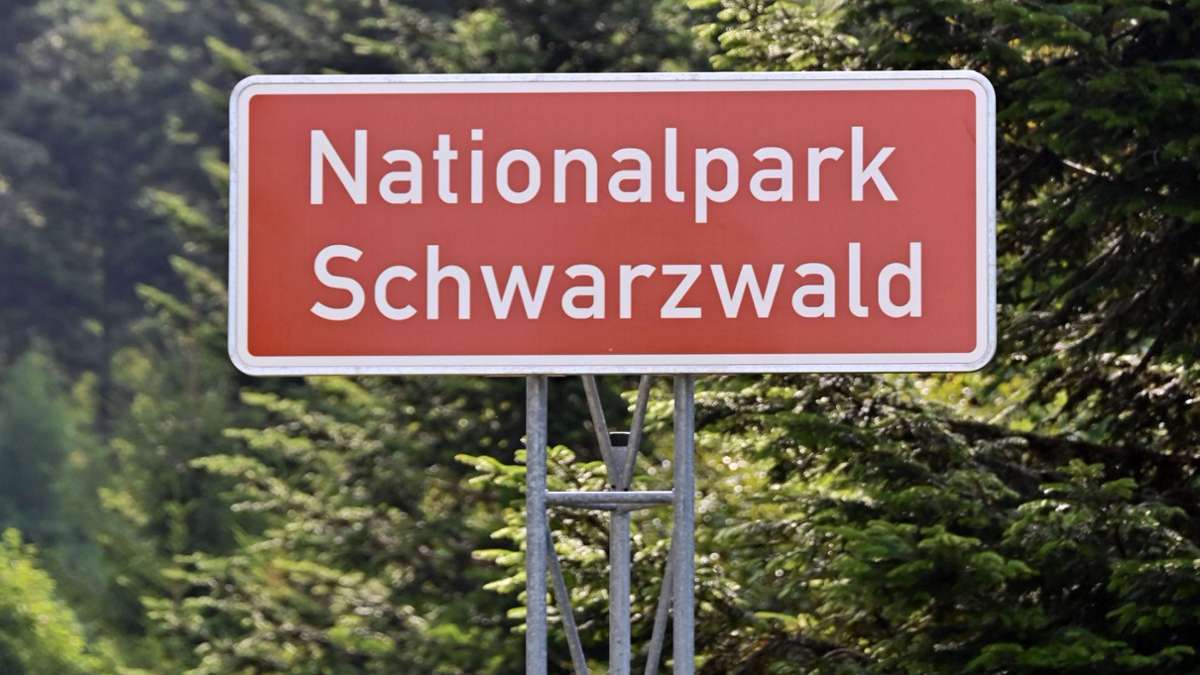 Schwarzwald: Möglicher Durchbruch bei Erweiterung von Nationalpark