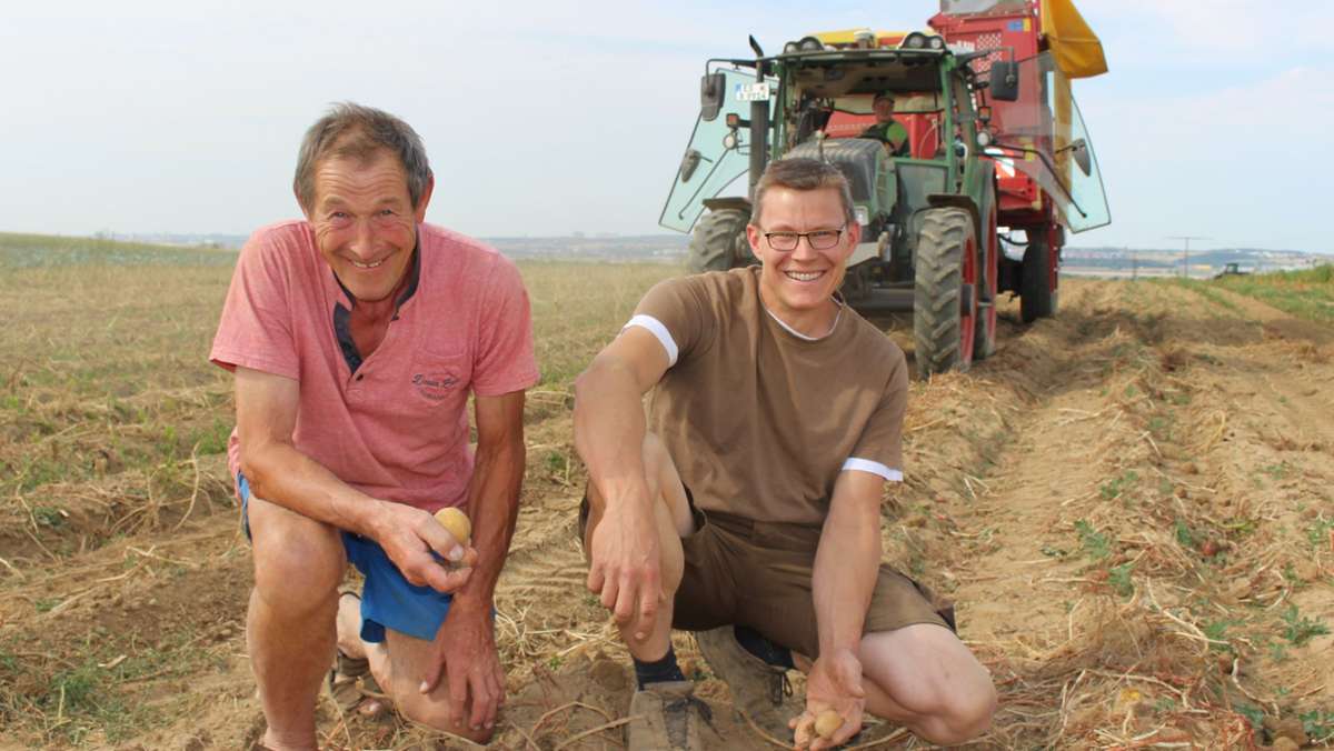 Ernte auf den Fildern: Wie Landwirte mit Kartoffeldiebstahl umgehen