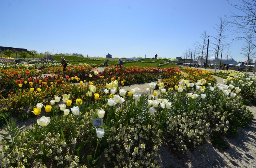 Bundesgartenschau In Heilbronn So Schon Bluht Die Buga An Ostern