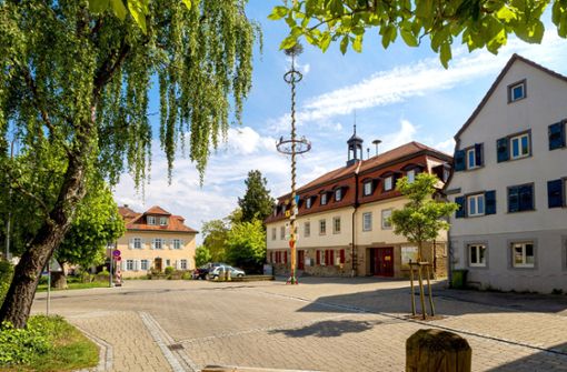 Dorfidylle mit Maibaum: das knapp 2500 Einwohner zählende Freudental glänzt mit Rathaus (Mitte) und Schloss (links). Foto:  