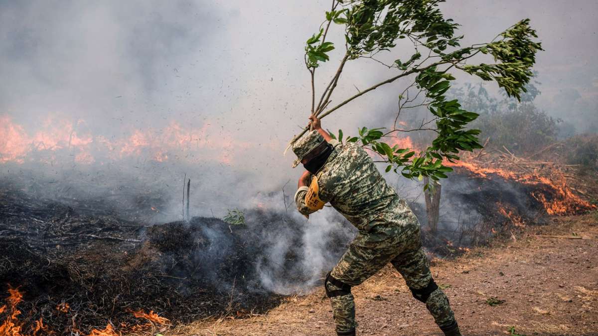 Einzelkämpfer: Ein Soldat versucht, die Waldbrände im Hochgebirge des mexikanischen Bundesstaates Veracruz einzudämmen.