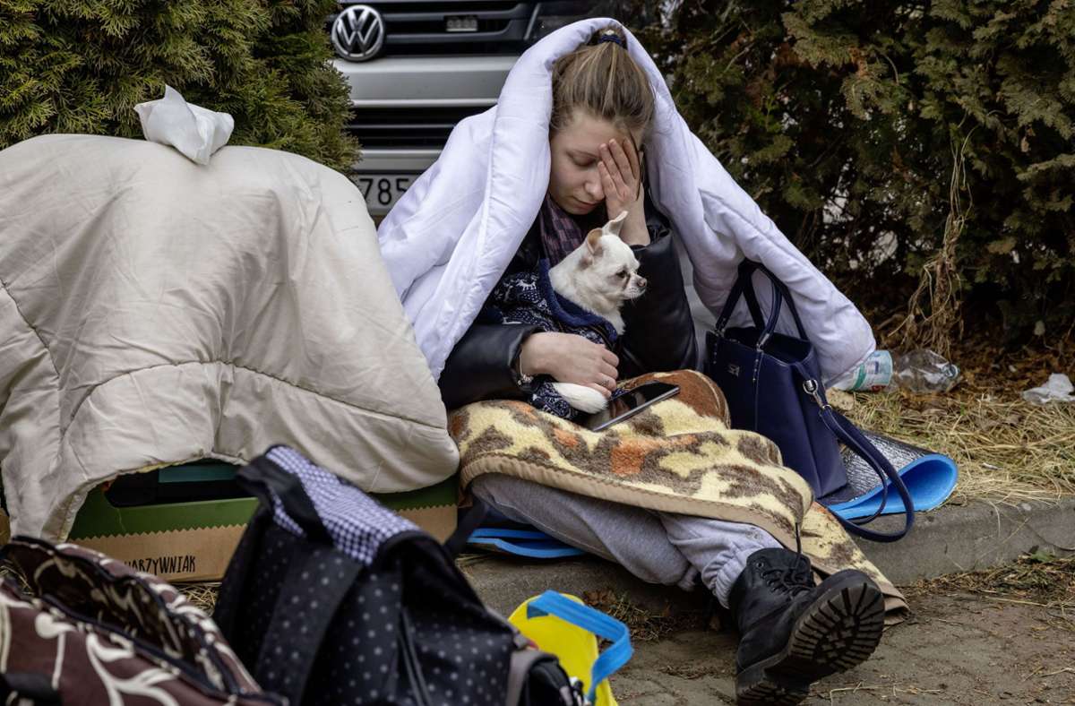 Eine geflüchtete Frau in der zentralen Aufnahmestelle im polnischen Korczowa hält ihren Hund in den Armen. Da Haustiere in Asylunterkünften oftmals nicht beherbergt werden können, suchen Tierheime nun nach einer Bleibe für sie.