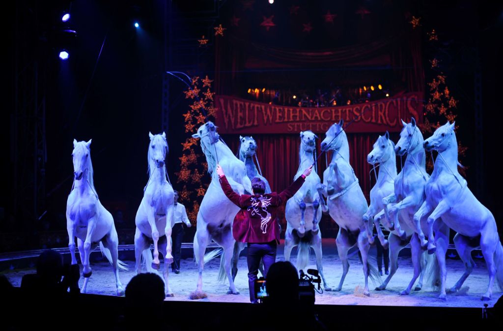 45 Pferde wirken in der neuen Show des Weltweihnachtscircus mit.