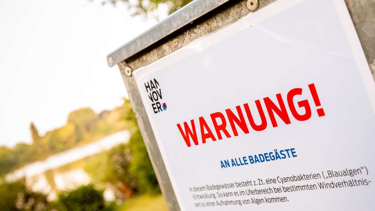 Gesundheitsschädliches Baden: Warnung vor Blaualgen in Badegewässern