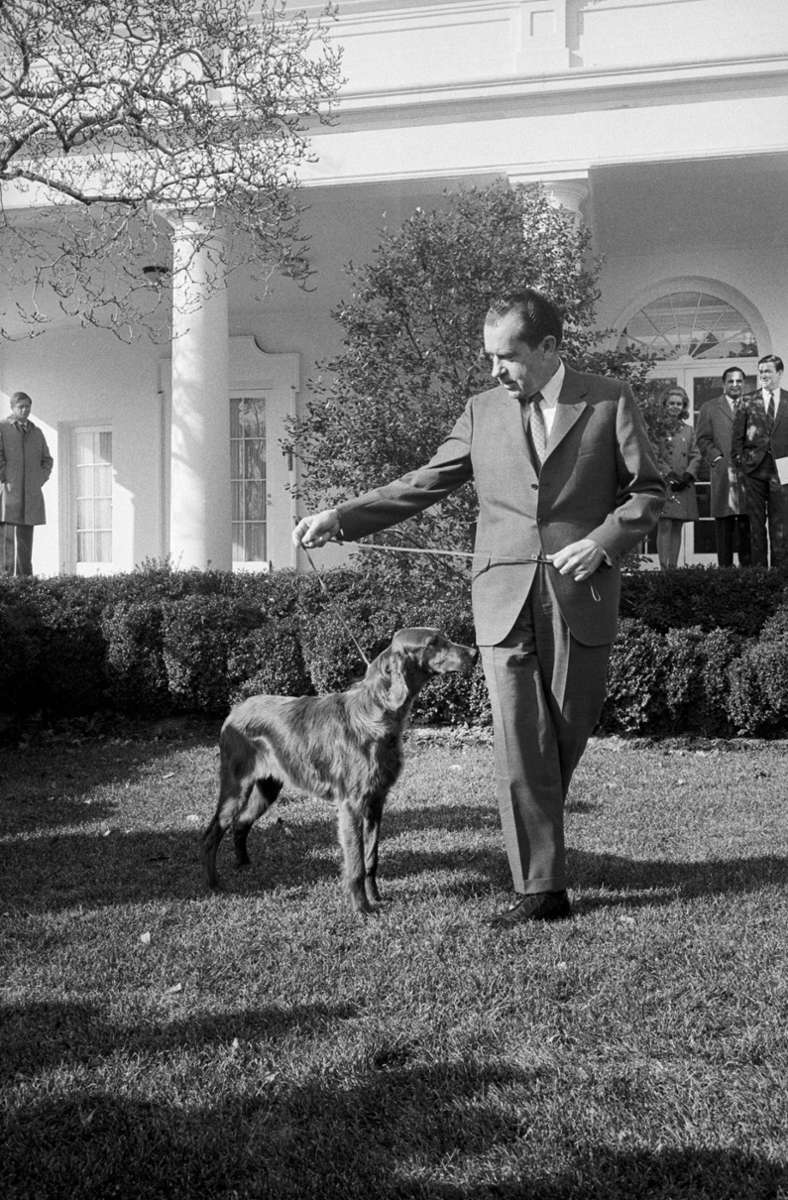 Den beeindruckenden Namen King Timahoe hatte der Irish Setter von Richard Nixon. Er hörte aber kurz und knackig auf Tim.