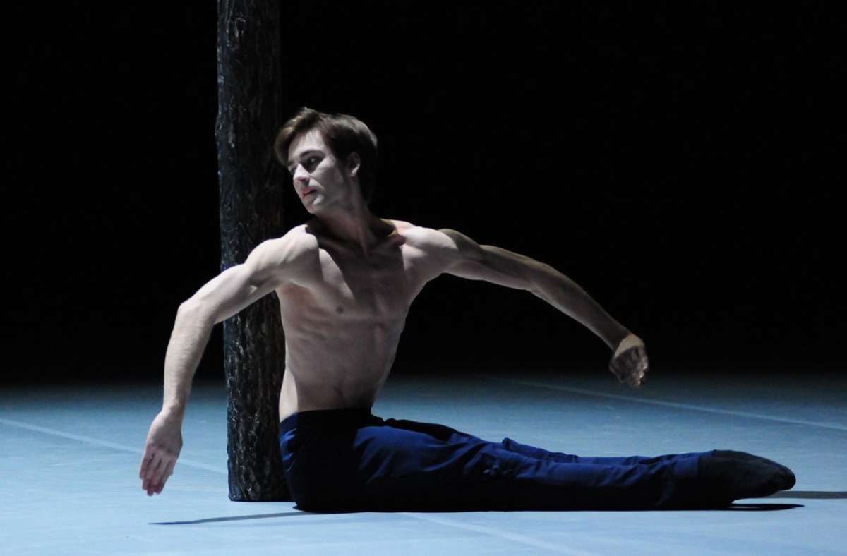 2010 kam Marco Goeckes „Orlando“ in Stuttgar heraus. Die Hauptrolle hatte der Haus-Choreograf des Stuttgarter Balletts Friedemann Vogel auf den sehnigen Leib geschneidert.